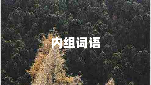 內(nèi)組詞語(yǔ)