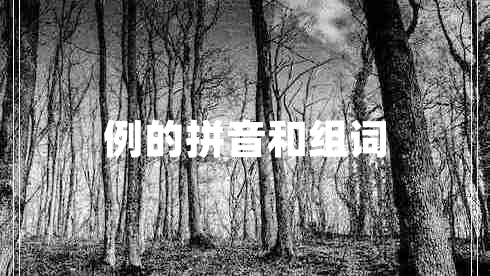 例的拼音和組詞
