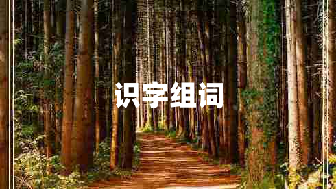 識(shí)字組詞