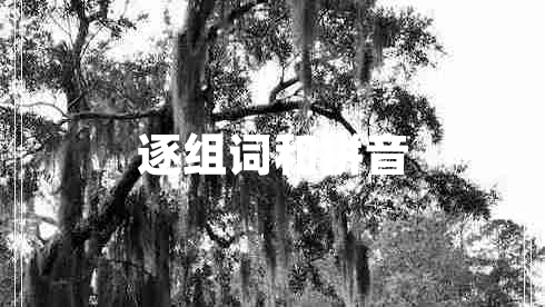逐組詞和拼音 逐組詞和拼音