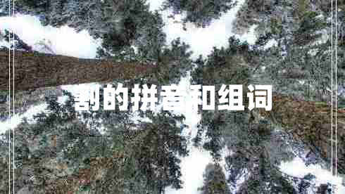 割的拼音和組詞 割的拼音和組詞