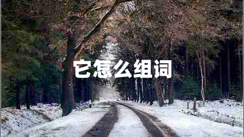 它怎么組詞