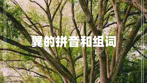 翼的拼音和組詞