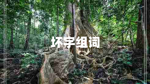 壞字組詞 壞字組詞