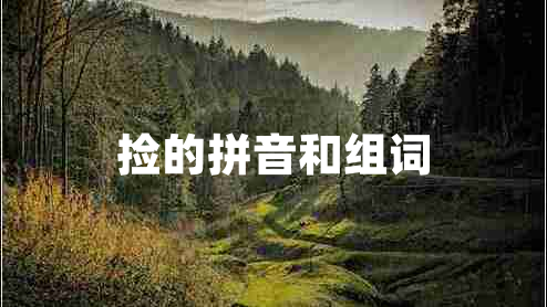 撿的拼音和組詞