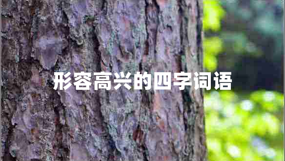 形容高興的四字詞語(yǔ)