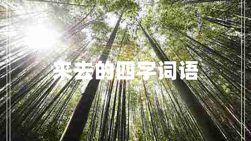 來去的四字詞語