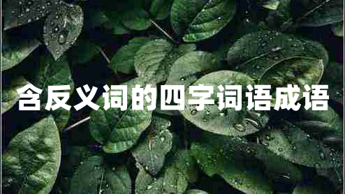 含反義詞的四字詞語成語