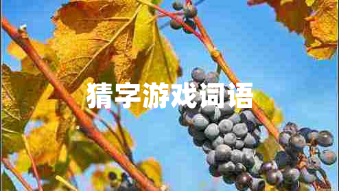 猜字游戲詞語(yǔ)