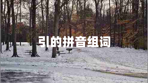 引的拼音組詞 引的拼音組詞