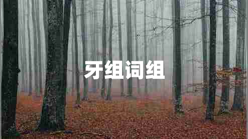 牙組詞組 牙組詞組