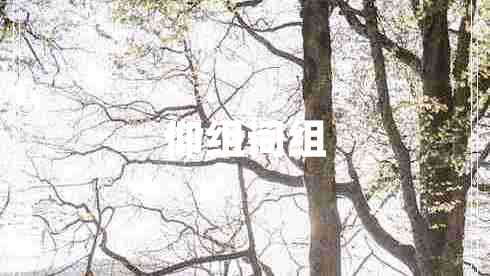 仰組詞組 仰組詞組