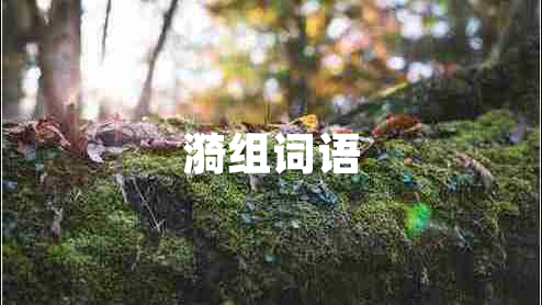 漪組詞語(yǔ)