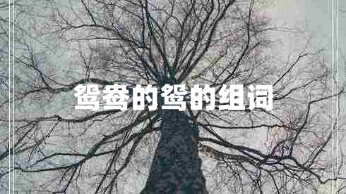 鴛鴦的鴛的組詞