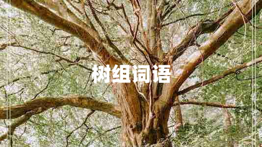 樹組詞語