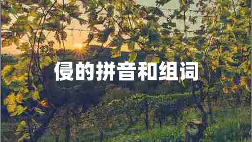 侵的拼音和組詞