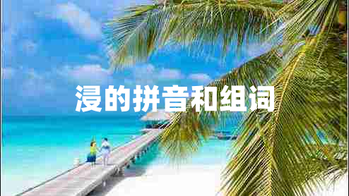 浸的拼音和組詞