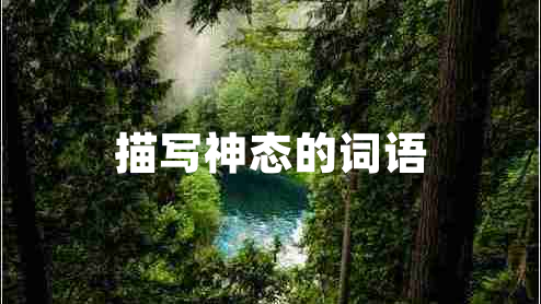 描寫神態(tài)的詞語