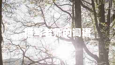 描寫老師的詞語
