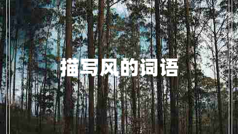描寫風的詞語
