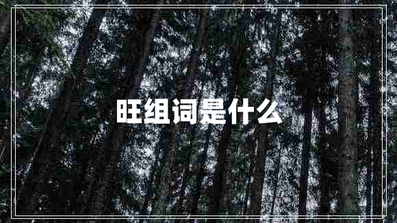 旺組詞是什么