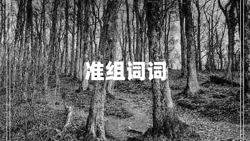 準組詞詞 準組詞詞