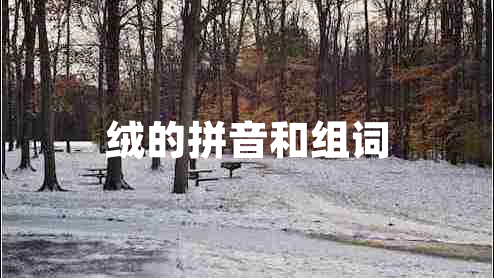 絨的拼音和組詞