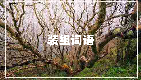 裝組詞語(yǔ) 裝組詞語(yǔ)