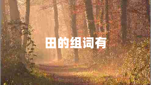 田的組詞有 田的組詞有
