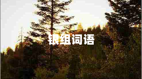 銀組詞語 銀組詞語