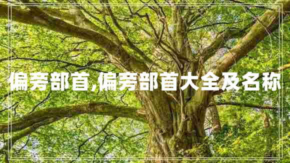 偏旁部首,偏旁部首大全及名稱 偏旁部首,偏旁部首大全及名稱