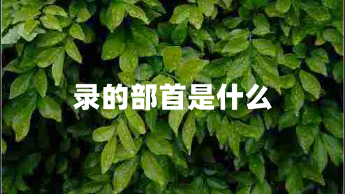 錄的部首是什么