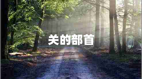 關(guān)的部首 關(guān)的部首