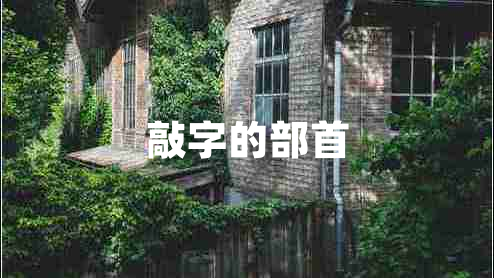 敲字的部首