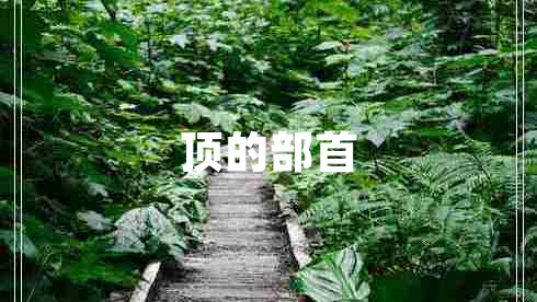 頂?shù)牟渴? title=