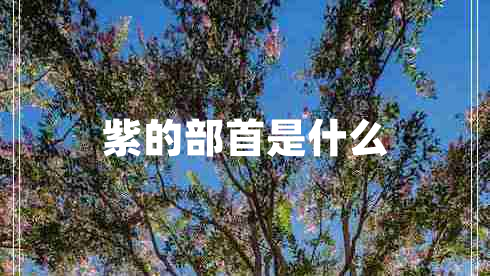 紫的部首是什么