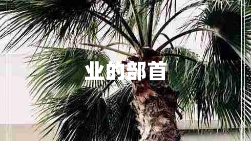 業(yè)的部首