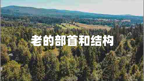 老的部首和結(jié)構(gòu)