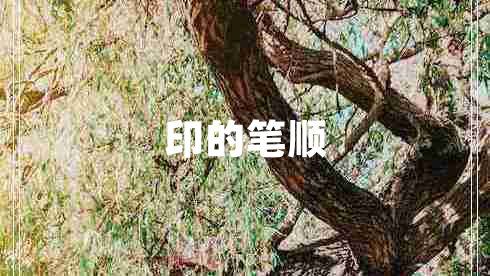印的筆順