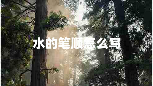 水的筆順怎么寫(xiě)