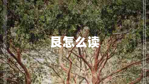 艮怎么讀 艮怎么讀