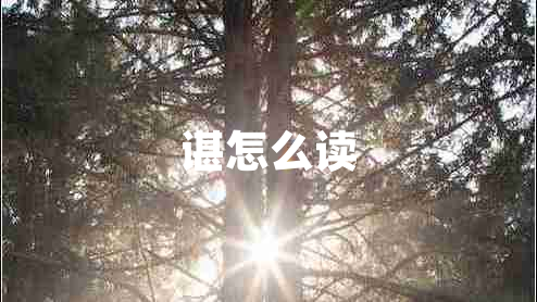 諶怎么讀 諶怎么讀