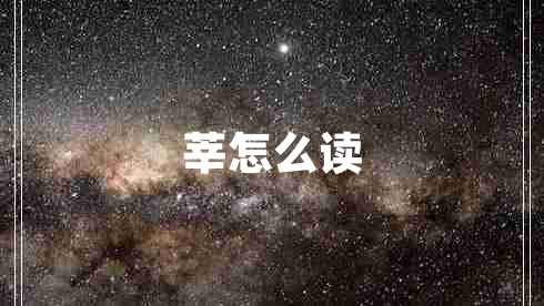 莘怎么讀