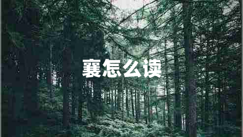 襄怎么讀 襄怎么讀