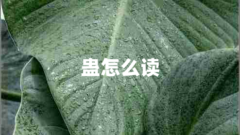 蠱怎么讀