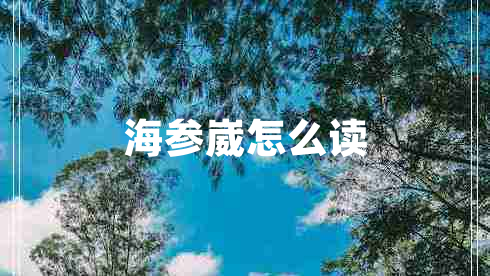 海參崴怎么讀