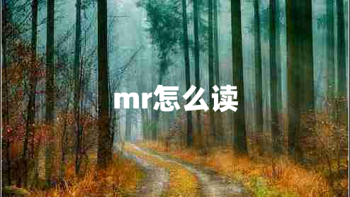 mr怎么讀