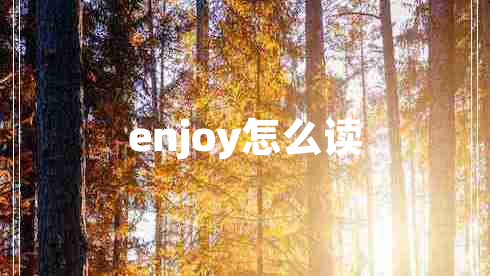 enjoy怎么讀