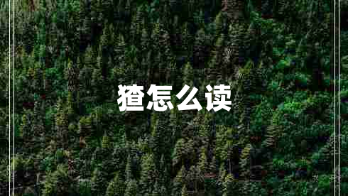 猹怎么讀 猹怎么讀
