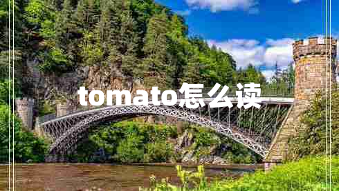 tomato怎么讀